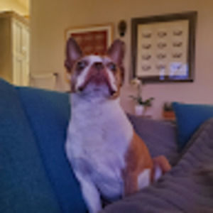 Meet your Posher, Sienna